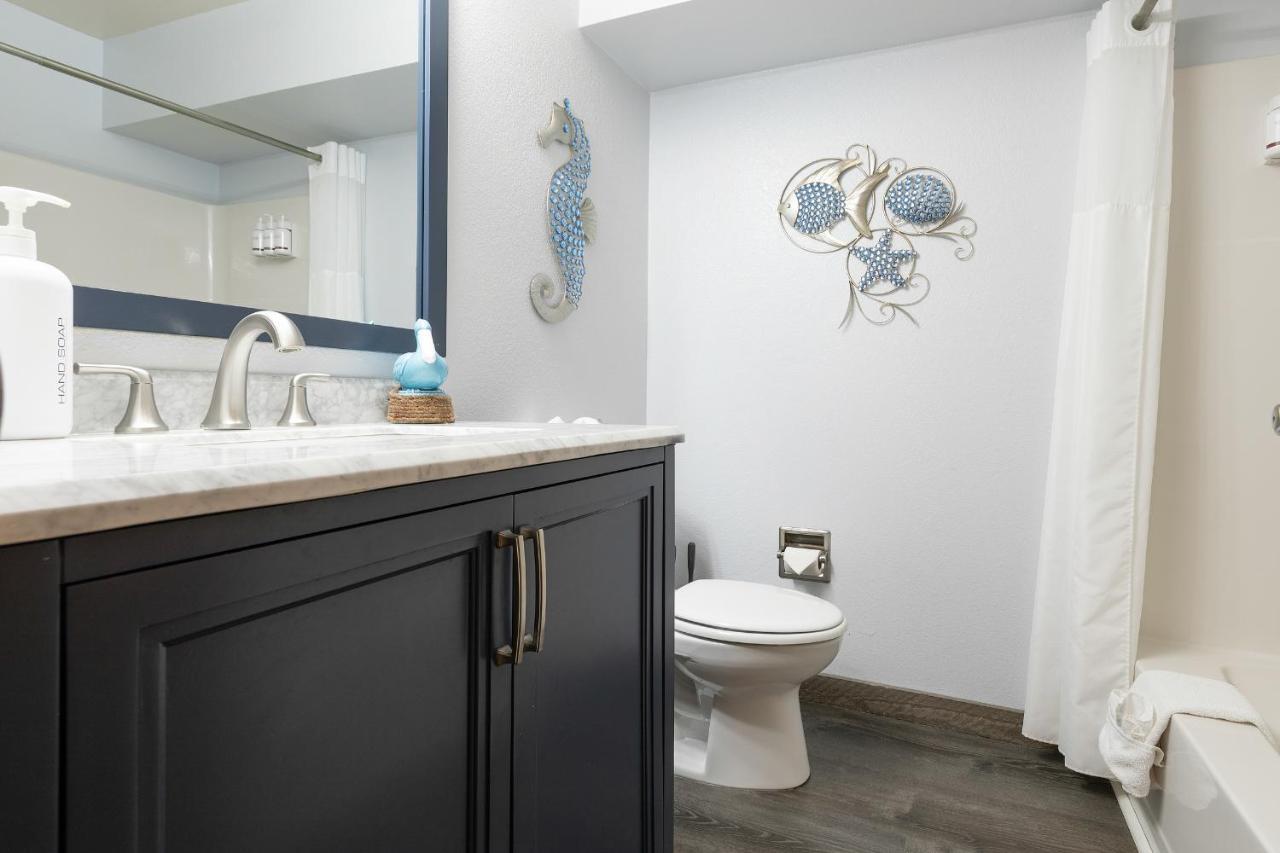 Aurora At Nautilus - Pet Friendly Oceanfront Apartment Ocean Shores