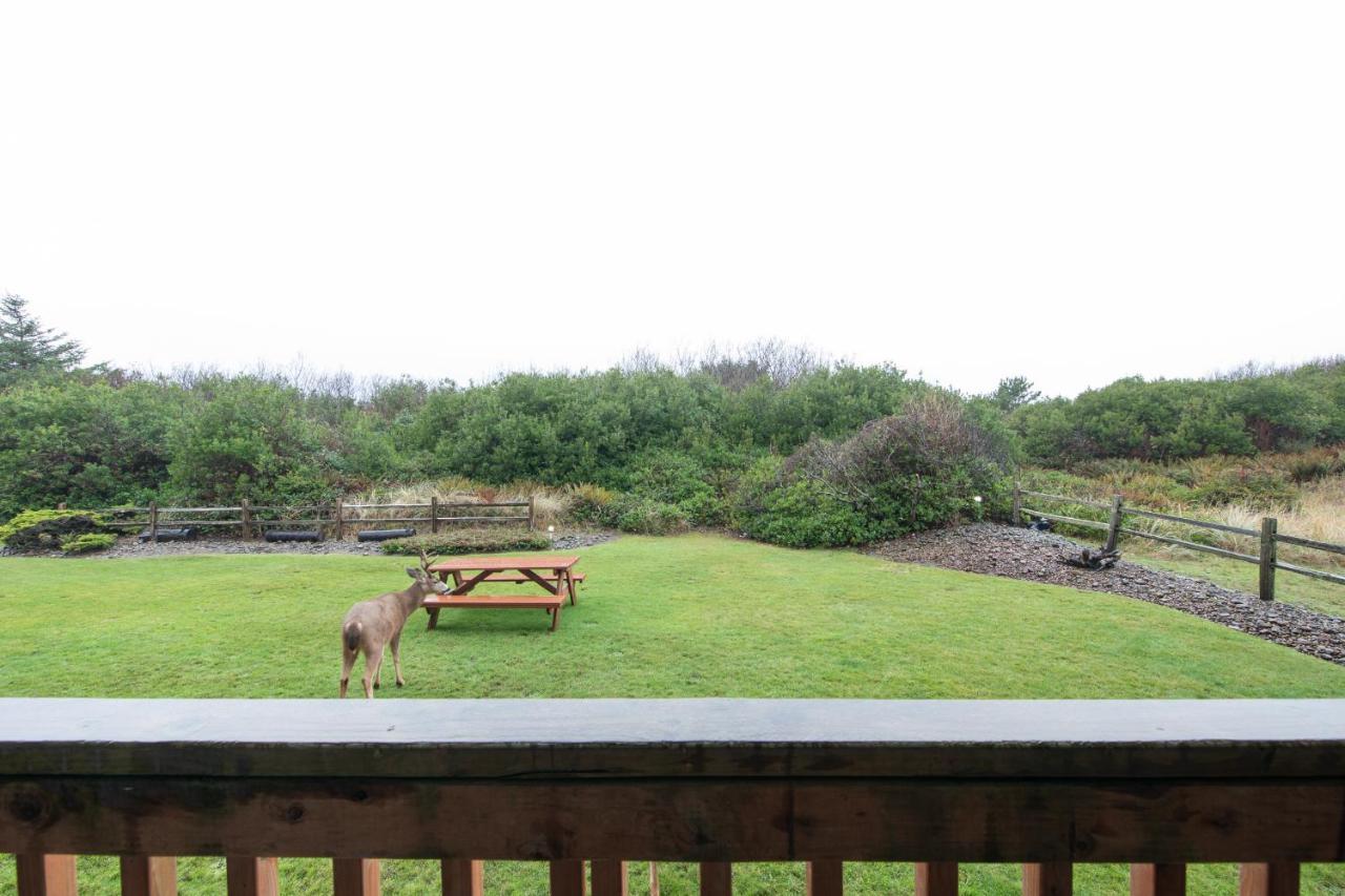 Aurora At Nautilus - Pet Friendly Oceanfront Ocean Shores